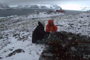Collection of Antarctic moss and lichen