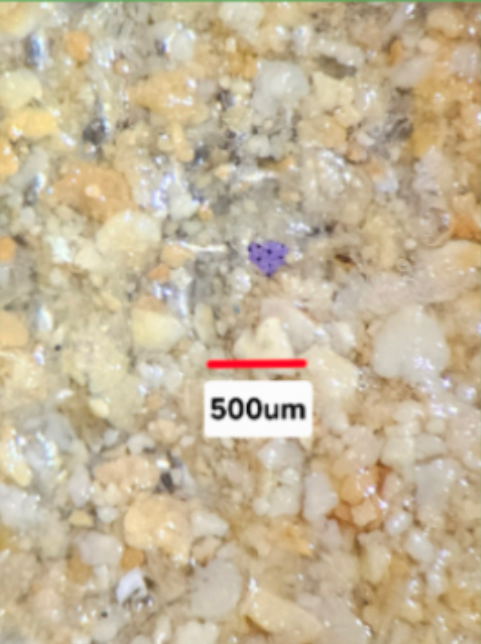 Particulate grains with 500 um unit meassure