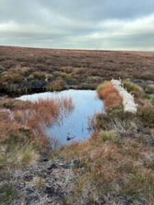 Water held back behind a gully block