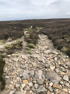 a dry river bed on a peatland