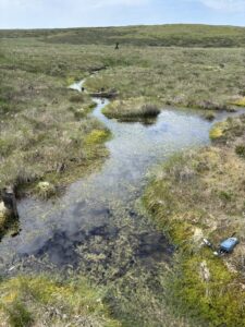 restoration pools holding water during drought