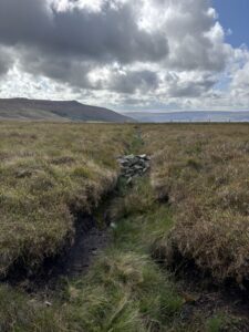Stone gully blocks on a peatland