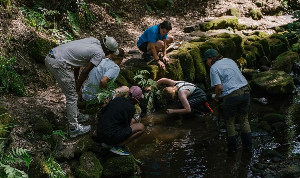 Group of people surveying crayfish