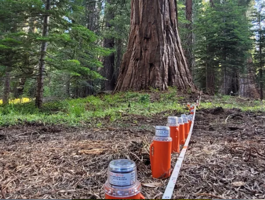 Stryde nodal seismometers, deployed for environmental seismology.